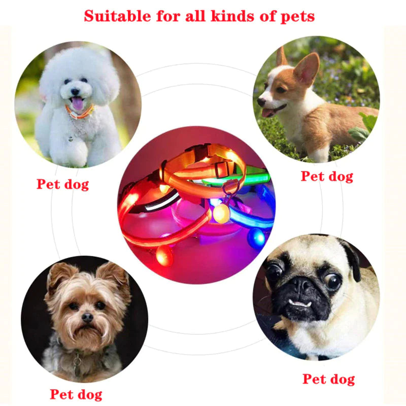 LED Adjustable Dog Collar with Blinking and Flashing Light for Enhanced Pet Safety - Waterproof Design