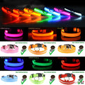 LED Adjustable Dog Collar with Blinking and Flashing Light for Enhanced Pet Safety - Waterproof Design