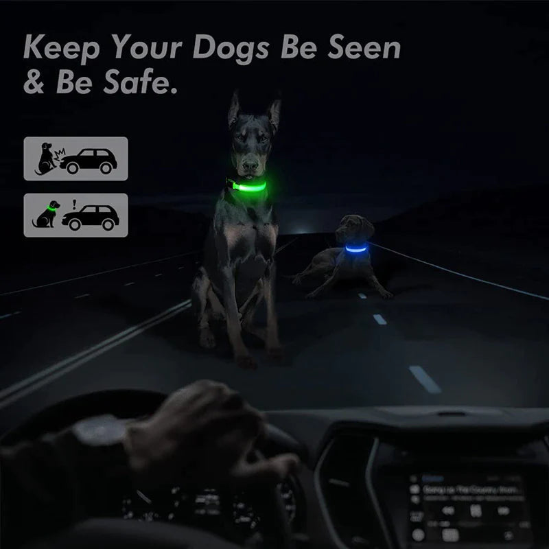 LED Adjustable Dog Collar with Blinking and Flashing Light for Enhanced Pet Safety - Waterproof Design