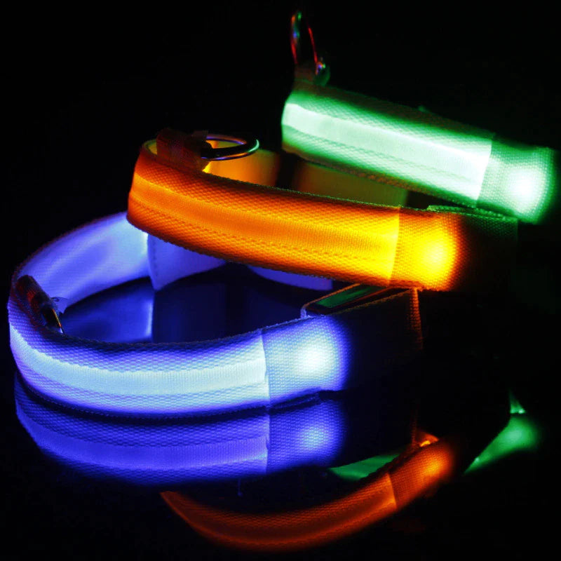 LED Adjustable Dog Collar with Blinking and Flashing Light for Enhanced Pet Safety - Waterproof Design
