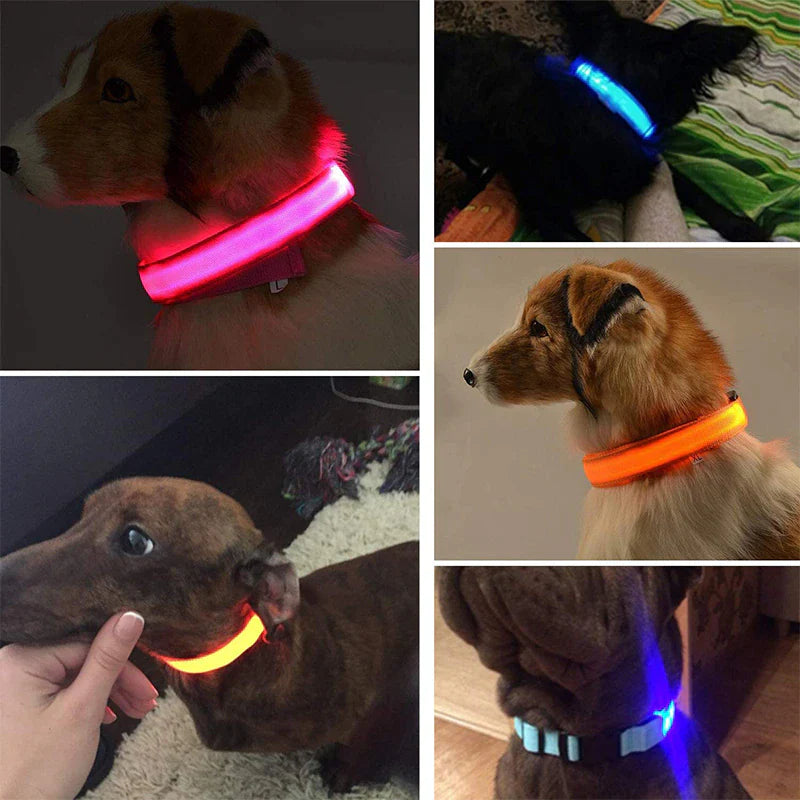 LED Adjustable Dog Collar with Blinking and Flashing Light for Enhanced Pet Safety - Waterproof Design