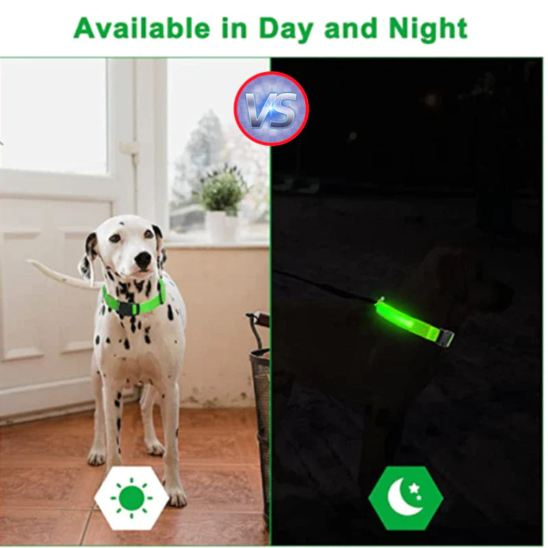 LED Adjustable Dog Collar with Blinking and Flashing Light for Enhanced Pet Safety - Waterproof Design